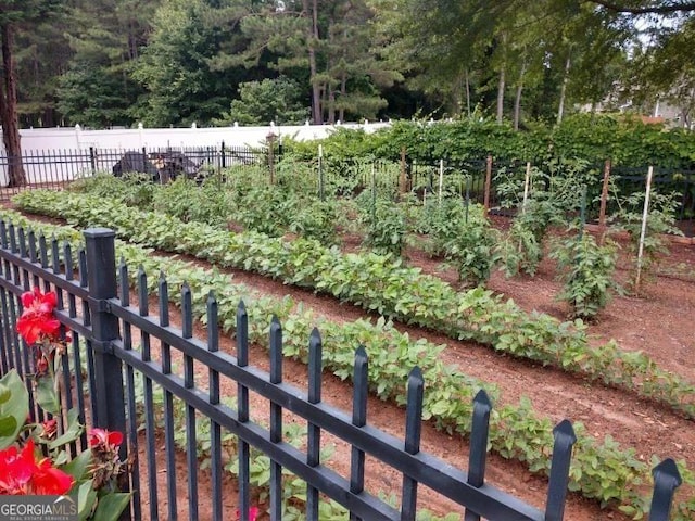 view of yard with a garden and fence