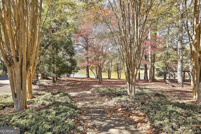 view of property's community featuring a water view