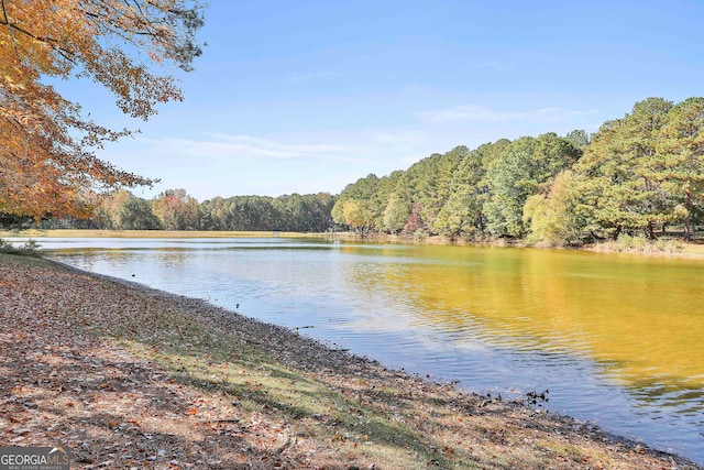 property view of water