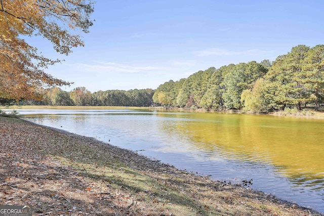 property view of water featuring a forest view