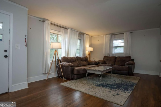 living room with ornamental molding, a healthy amount of sunlight, and dark hardwood / wood-style floors