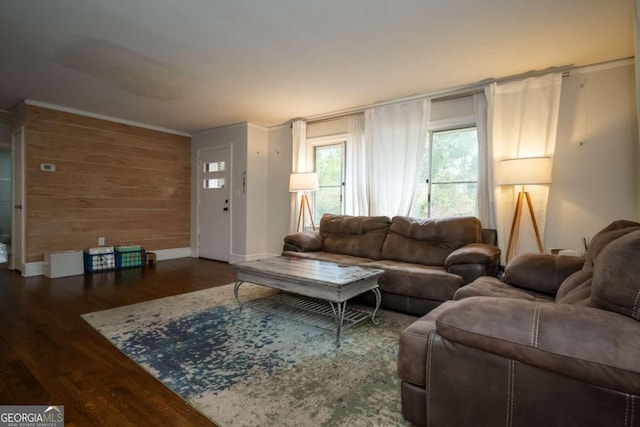 living room featuring wooden walls and dark hardwood / wood-style flooring