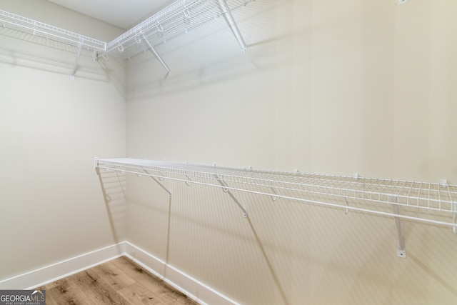 walk in closet with hardwood / wood-style flooring