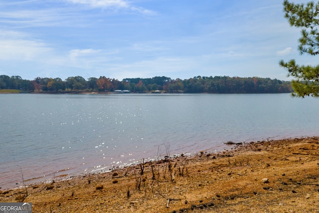 LOT17 Pointe Sidney, Hartwell GA, 30643 land for sale