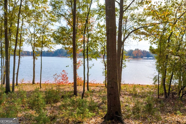 Listing photo 3 for LOT17 Pointe Sidney, Hartwell GA 30643