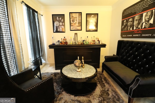 living area featuring indoor bar and ornamental molding