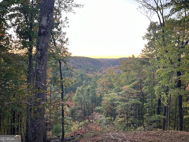 view of mountain feature