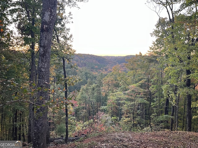 view of mountain feature