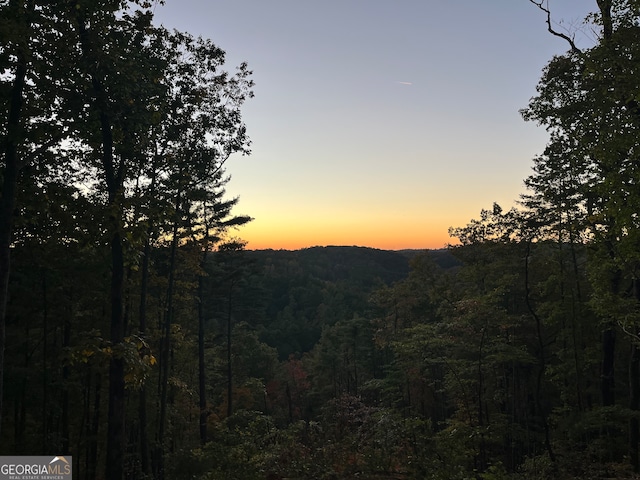 view of mountain feature