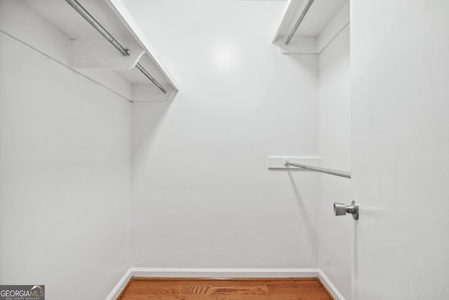 spacious closet with hardwood / wood-style floors