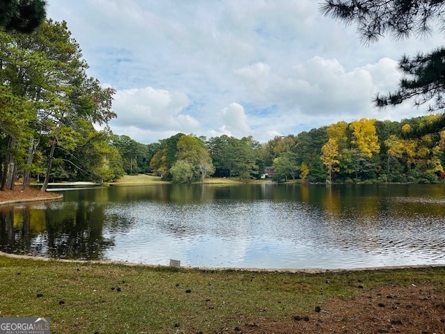 property view of water