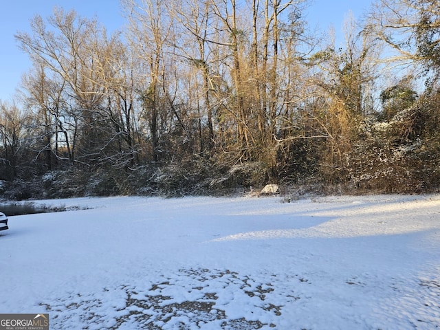 view of snowy yard