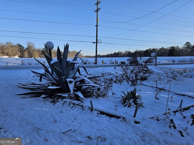 view of yard covered in snow