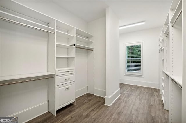 spacious closet with dark hardwood / wood-style flooring