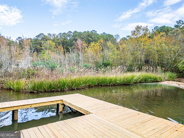 dock area featuring a water view