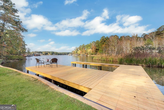 dock area with a water view