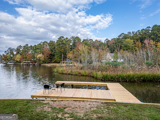 dock area with a water view