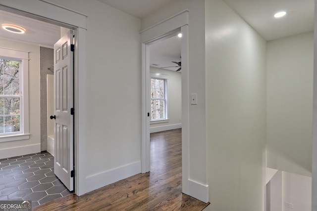 corridor with dark wood-type flooring