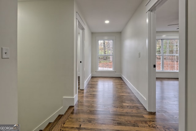 hall with dark hardwood / wood-style flooring