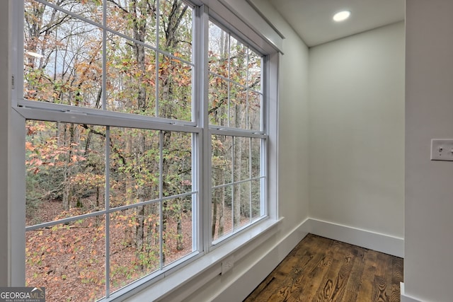 room details featuring wood-type flooring