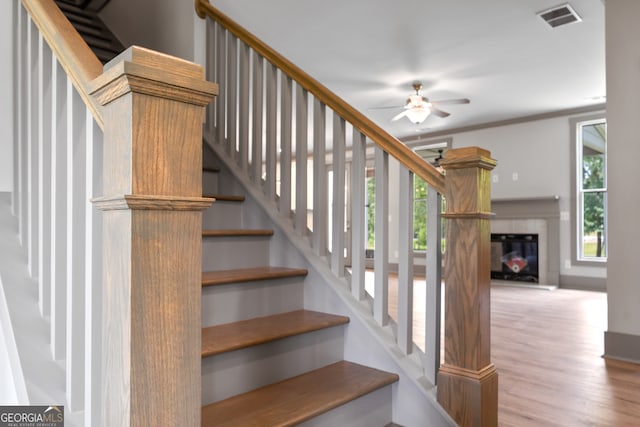 stairs with hardwood / wood-style floors, a wealth of natural light, and ceiling fan