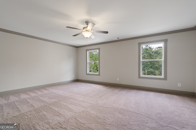 empty room with ceiling fan, carpet, and ornamental molding