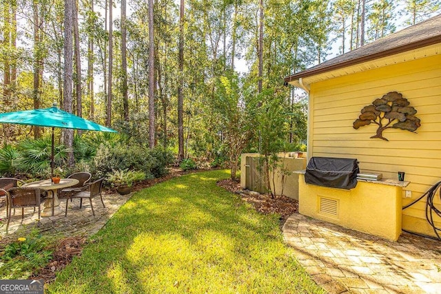 view of yard with area for grilling and a patio