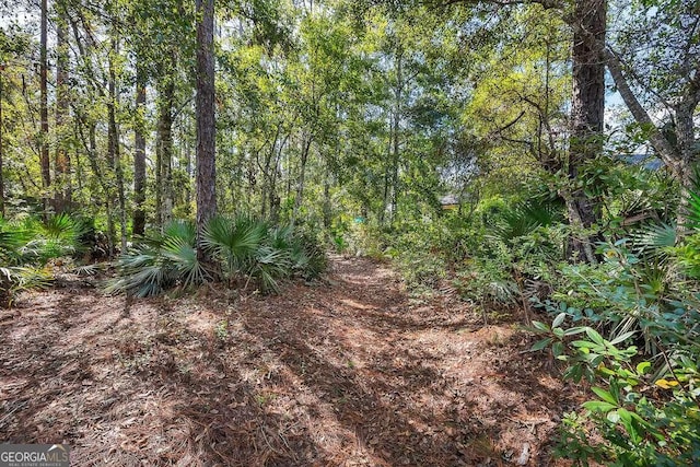 view of local wilderness