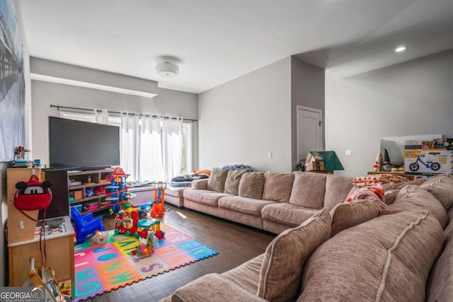 living room featuring dark hardwood / wood-style flooring