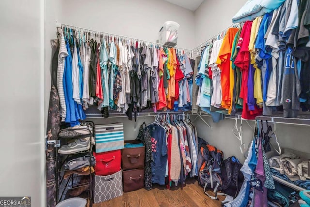 walk in closet featuring hardwood / wood-style flooring