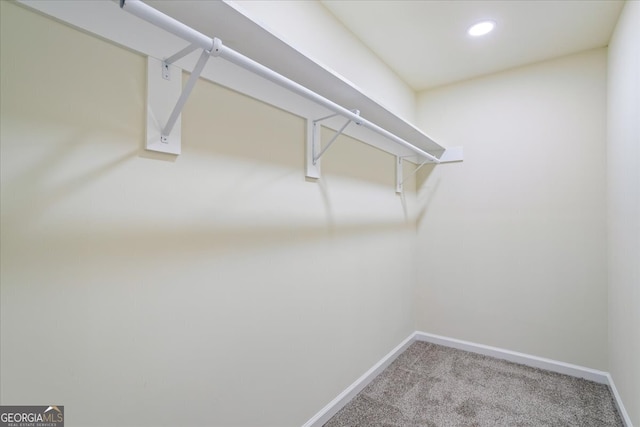 spacious closet featuring carpet floors