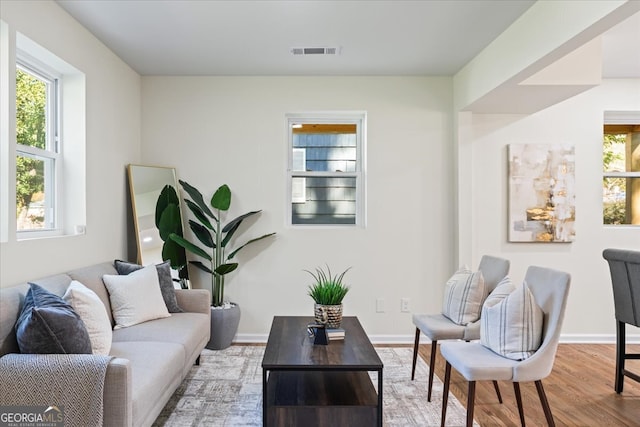 living room featuring wood-type flooring and a healthy amount of sunlight