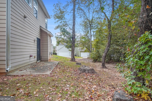 view of yard with a garage and an outdoor structure