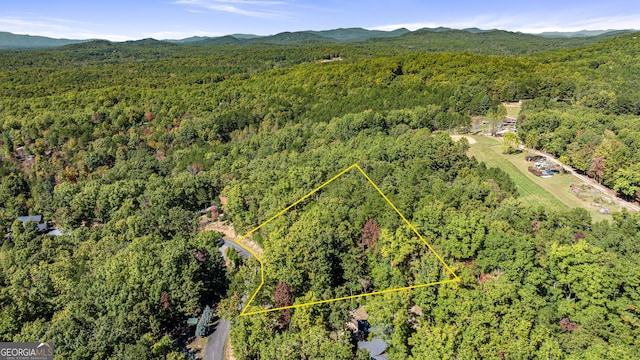 Listing photo 3 for LOT12 Meadow Brook Trl, Morganton GA 30560