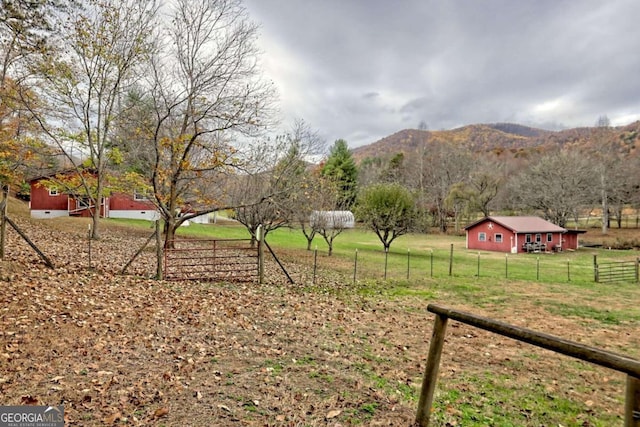 view of yard with a mountain view and a rural view