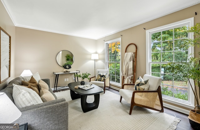 living room with hardwood / wood-style floors, crown molding, and plenty of natural light