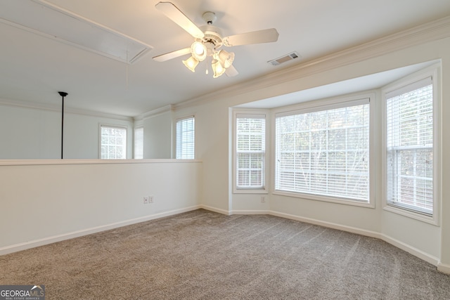 spare room with a wealth of natural light, ceiling fan, carpet floors, and ornamental molding