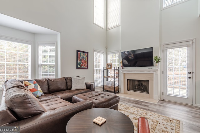 living room with a high ceiling, a healthy amount of sunlight, and light hardwood / wood-style flooring