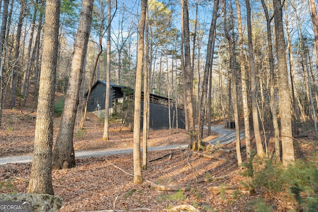 view of yard with a wooded view