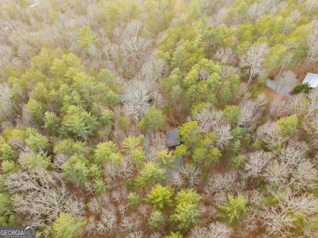 birds eye view of property with a forest view