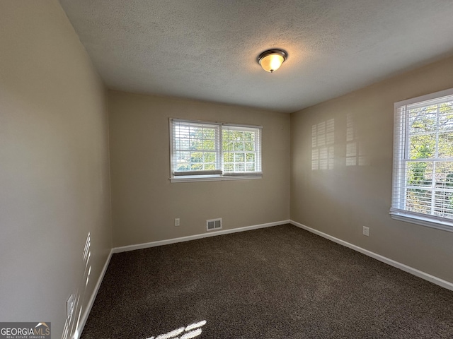 3617 Collins Dr, Douglasville, GA 30135 - empty room featuring healthy amount of natural light, baseboards, a textured ceiling, and dark carpet