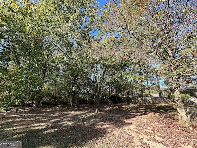 view of local wilderness