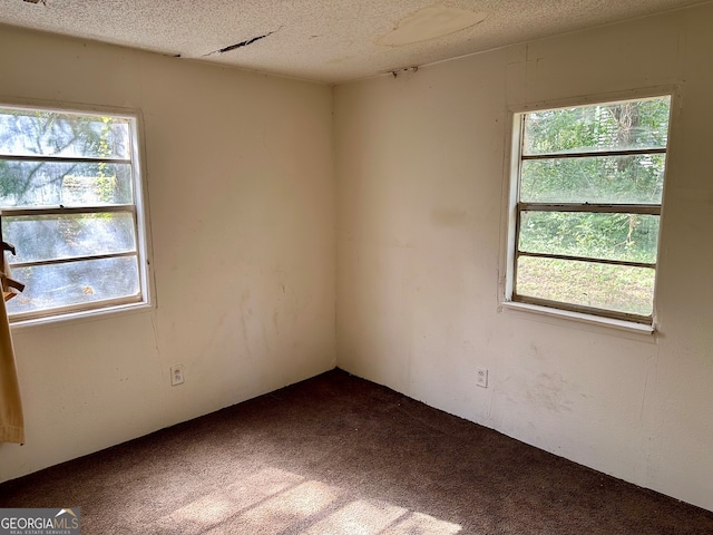 unfurnished room featuring a wealth of natural light, a textured ceiling, and carpet floors