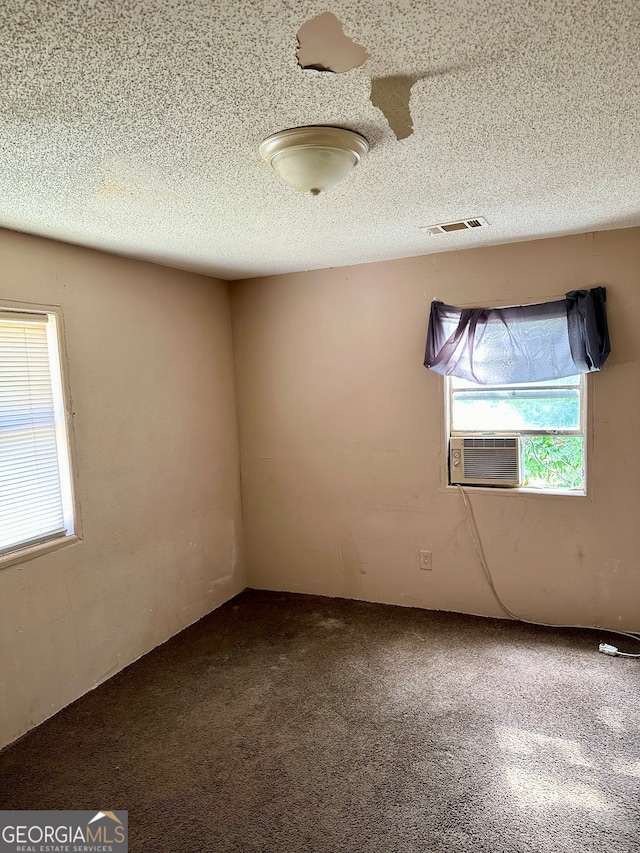 empty room with a wealth of natural light, a textured ceiling, and carpet flooring