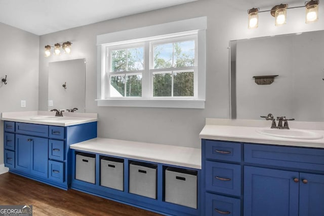 bathroom featuring vanity and hardwood / wood-style floors