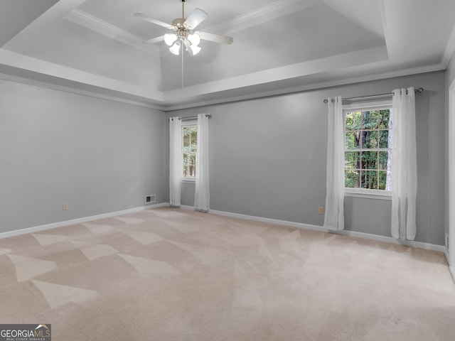 spare room with baseboards, a tray ceiling, a wealth of natural light, and light colored carpet