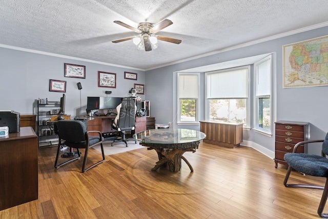 home office with crown molding, light hardwood / wood-style floors, and a textured ceiling