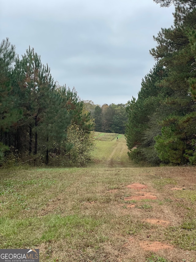 view of local wilderness