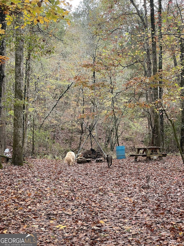 view of local wilderness