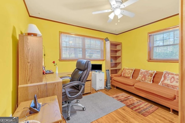 office featuring ornamental molding, wood-type flooring, and ceiling fan